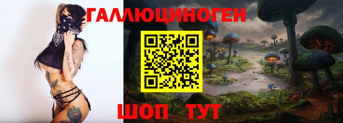Галлюциногенные грибы GOLDEN TEACHER  хочу наркоту  Вход с VPN  Майский  Галлюциногенные грибы Psilocybine cubensis 